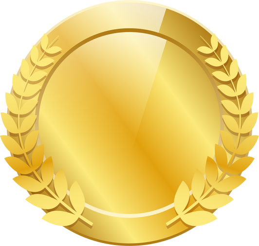 Gold Plate Award